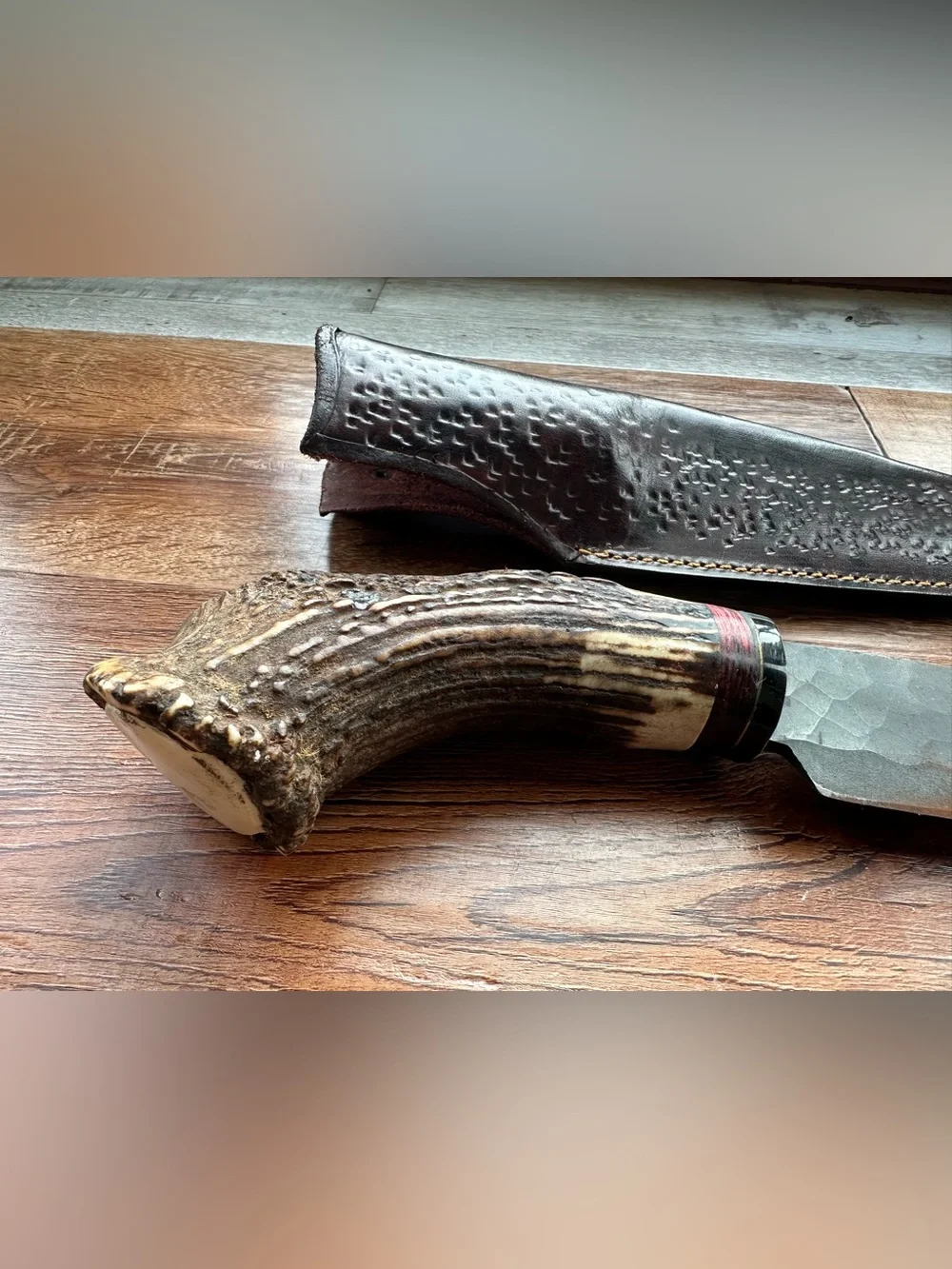 Handmade Stag Horn Handle Knife- 8 in